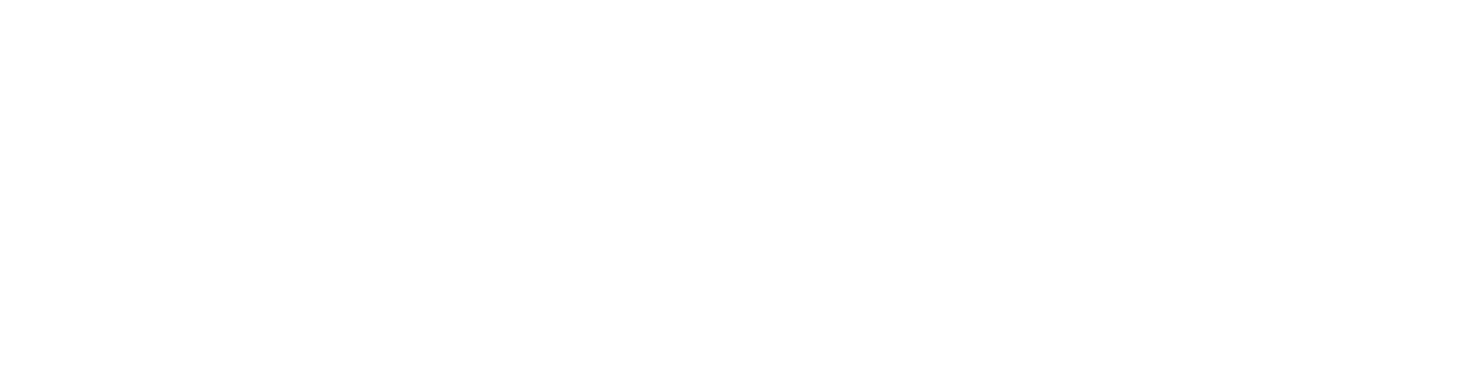 logo light