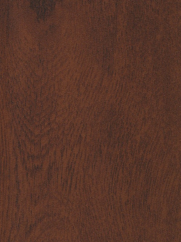 Nussbaum New