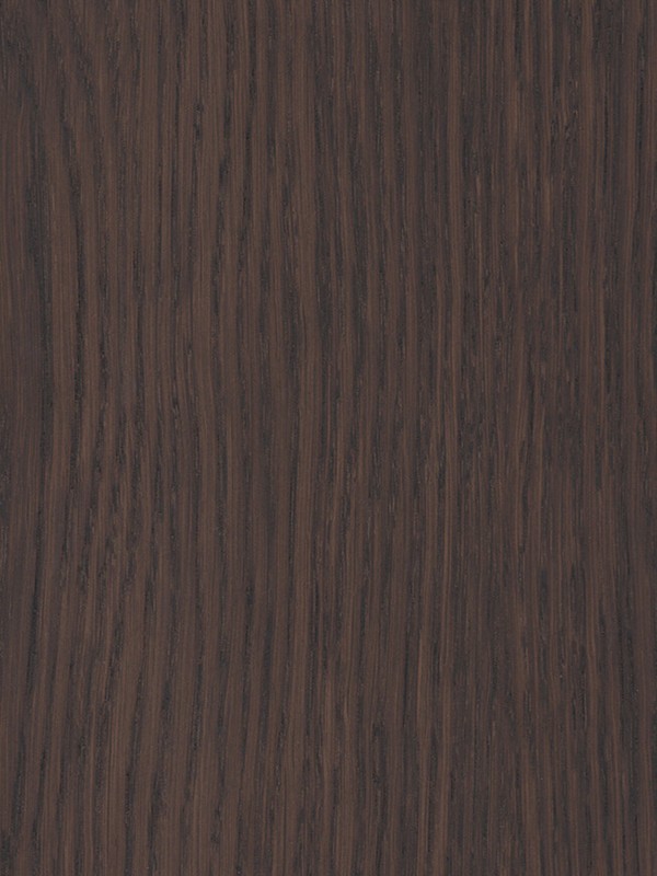SD6